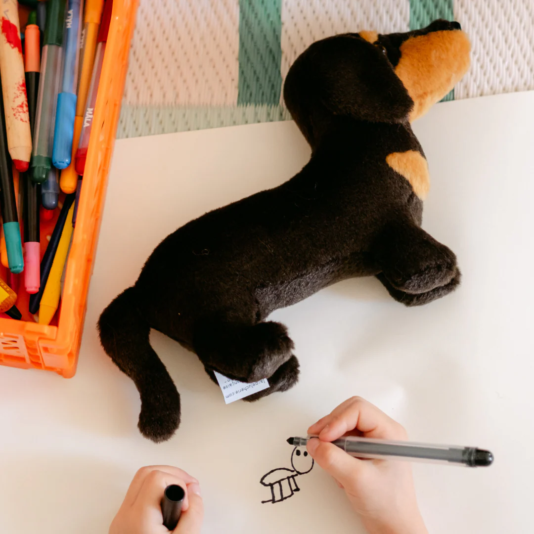 Ma peluche Teckel Eugène – Image 7