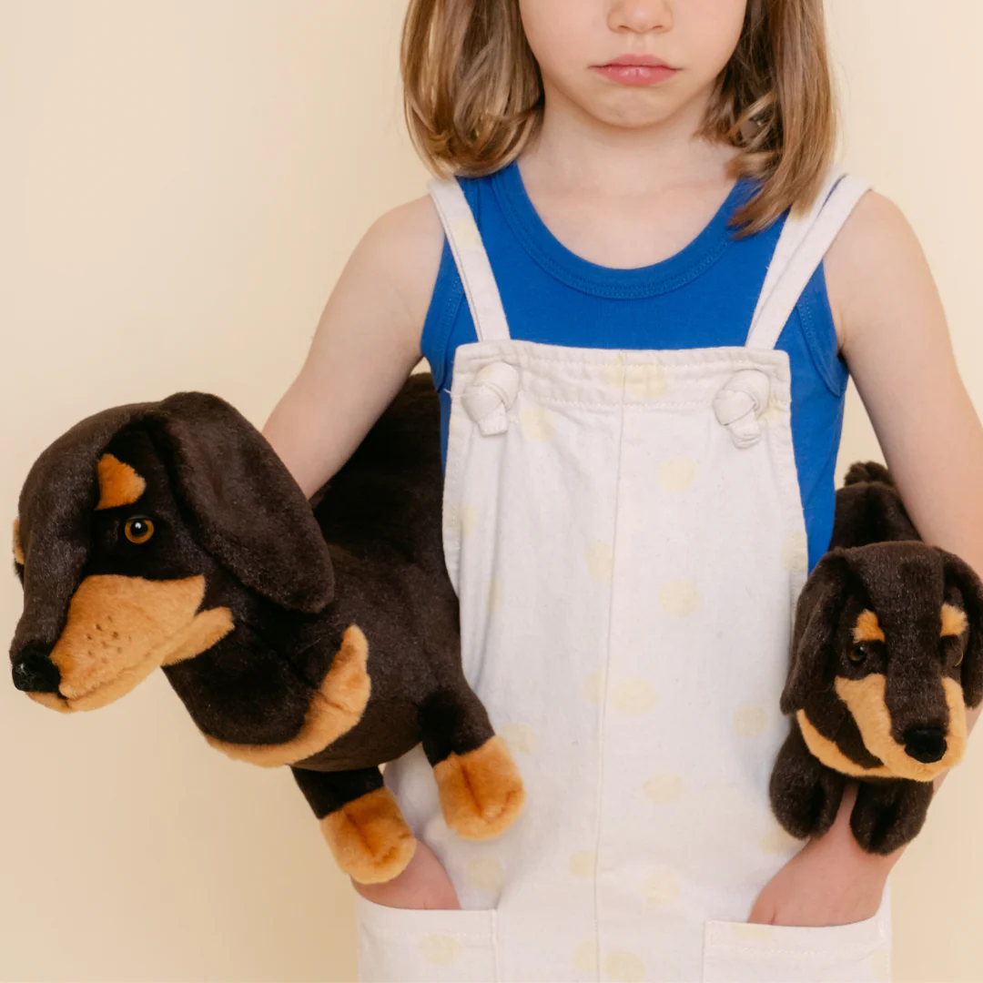 Ma peluche Teckel Eugène – Image 4