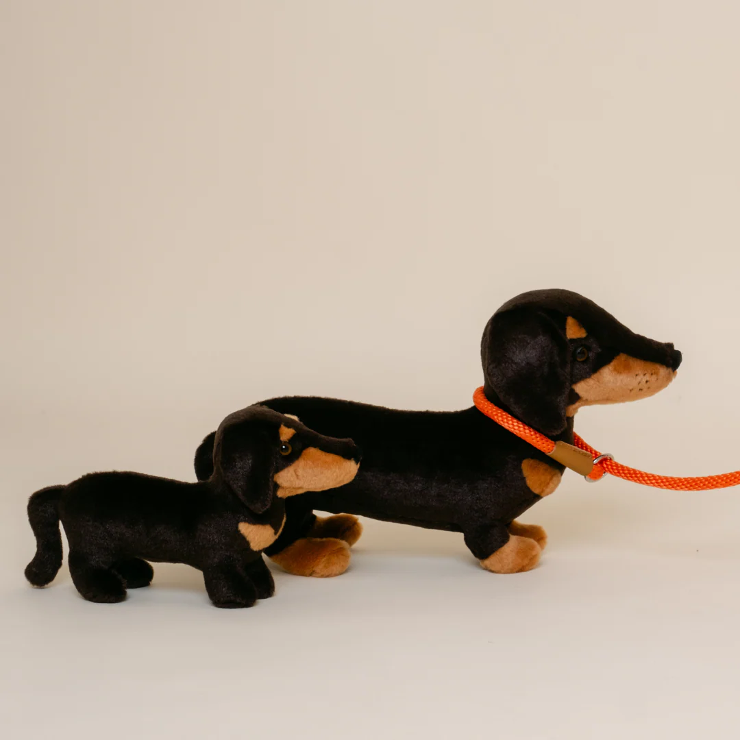 Ma peluche Teckel Eugène – Image 3