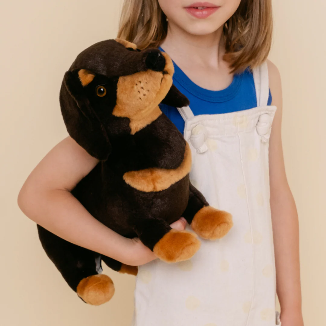 Ma peluche Teckel Eugène – Image 9