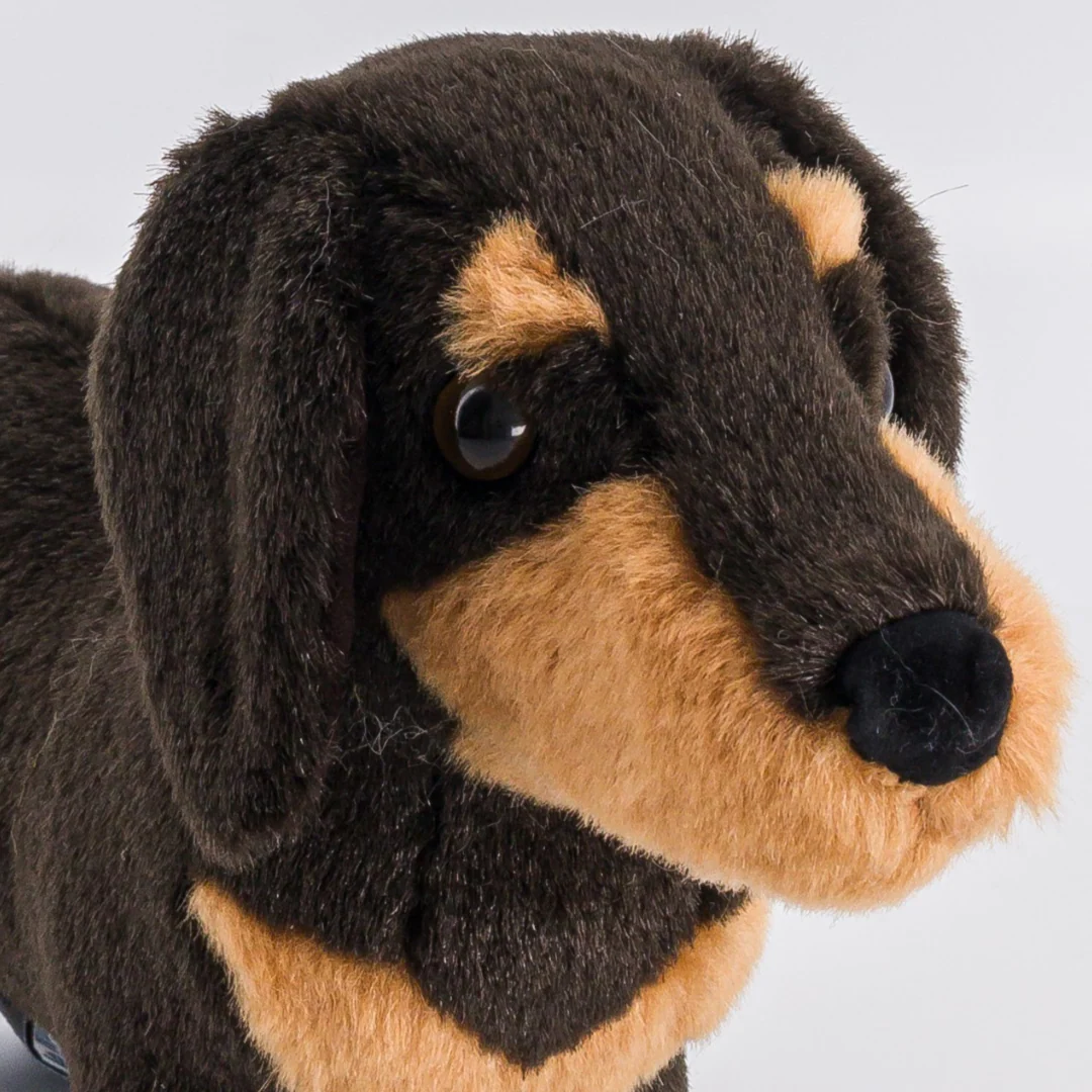 Ma peluche Teckel Eugène – Image 6