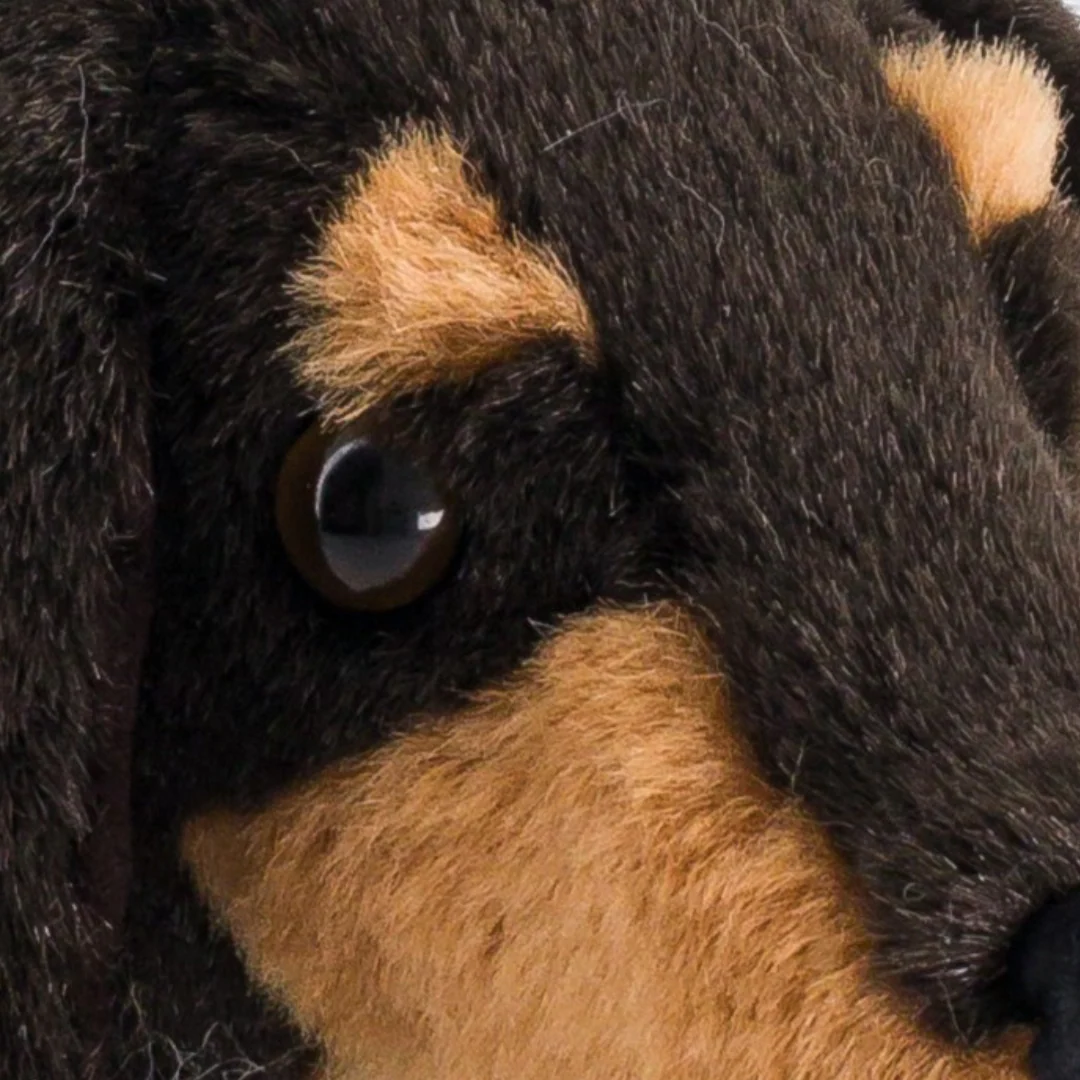 Ma peluche Teckel Eugène – Image 2