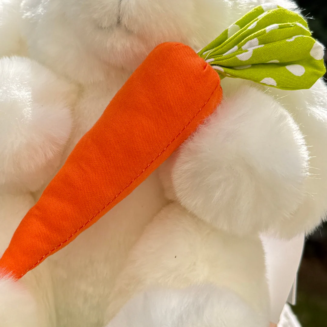 Mon Lapin Ernest "Croq'Carotte" – Image 2