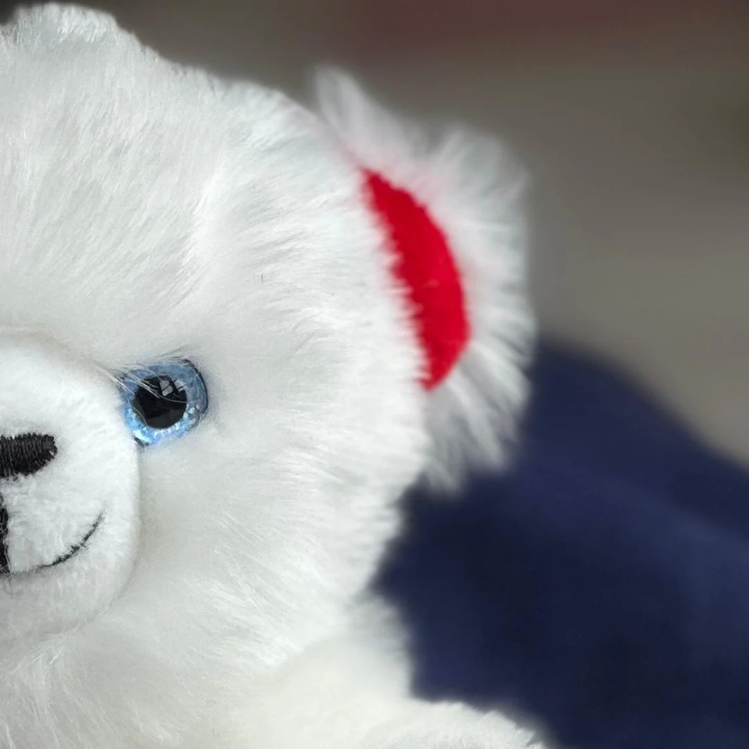 Mon ours Émile Cocorico – Image 4