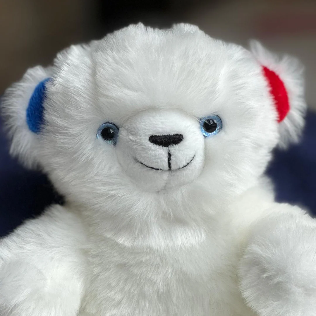Mon ours Émile Cocorico – Image 5