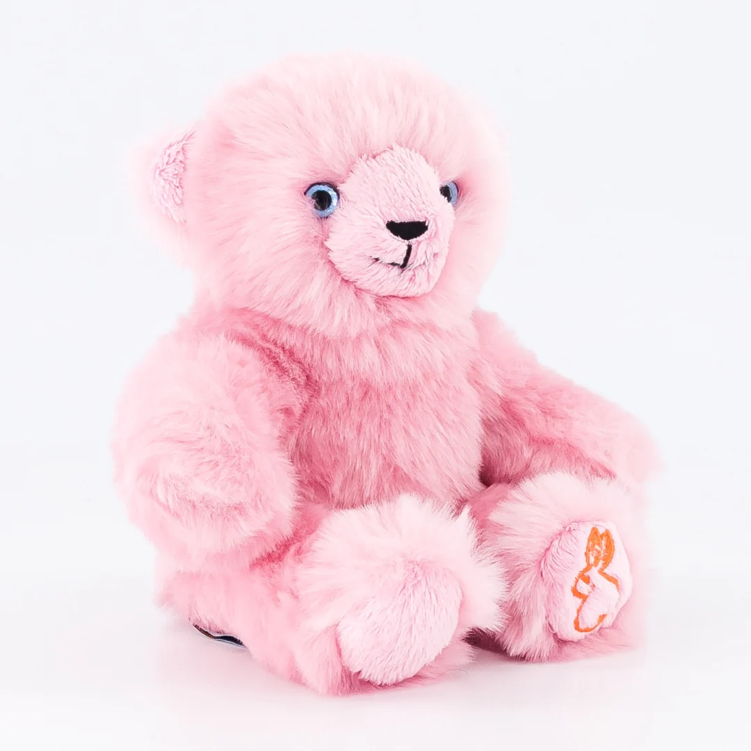 Ma peluche Ours Émile – Image 7