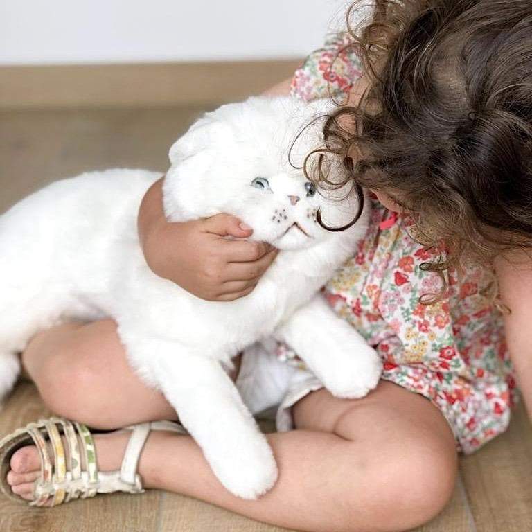 Ma peluche Chat Oscar – Image 4