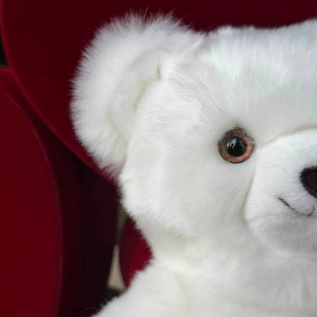 Ma peluche ours Émile amoureux – Image 4