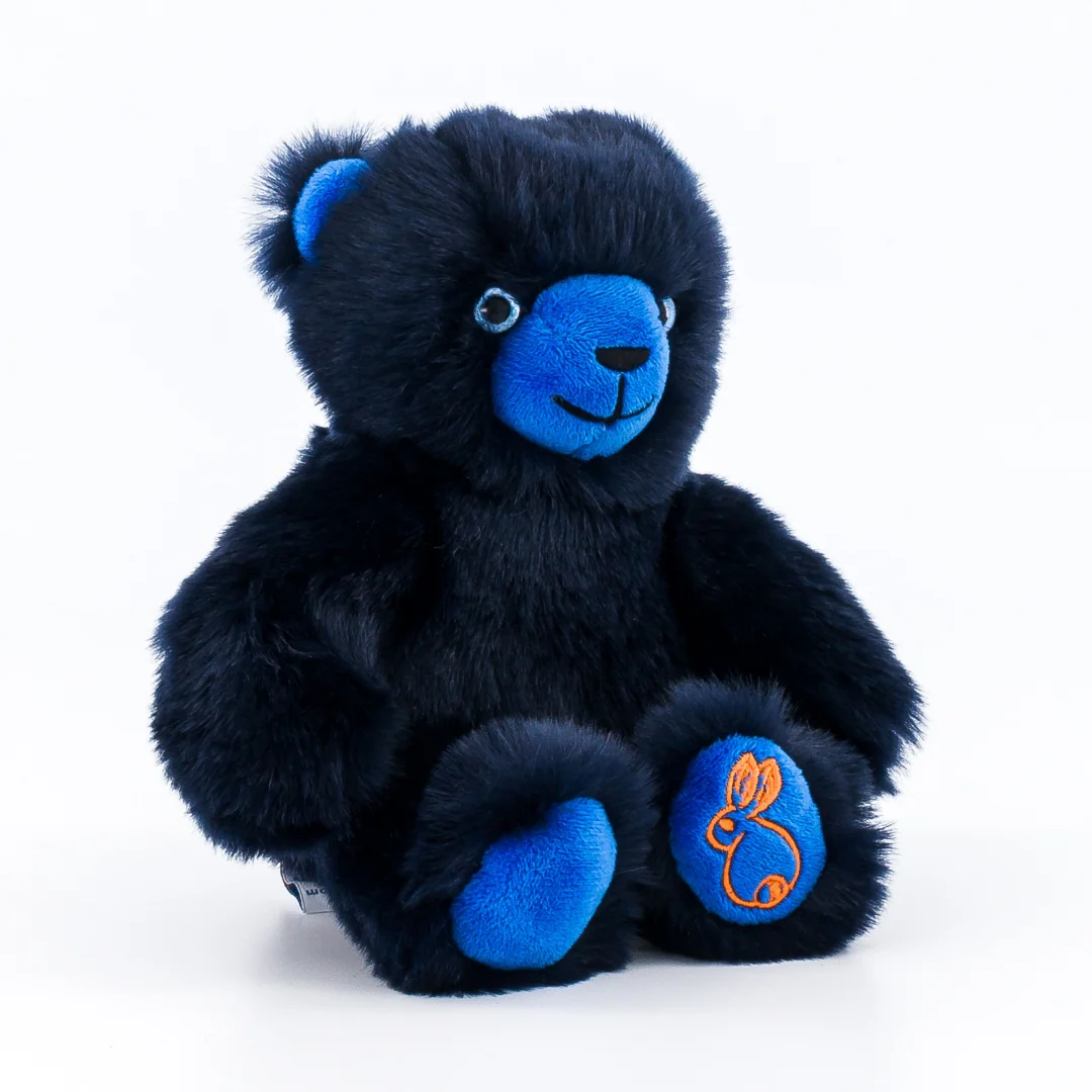 Ma peluche Ours Émile – Image 8