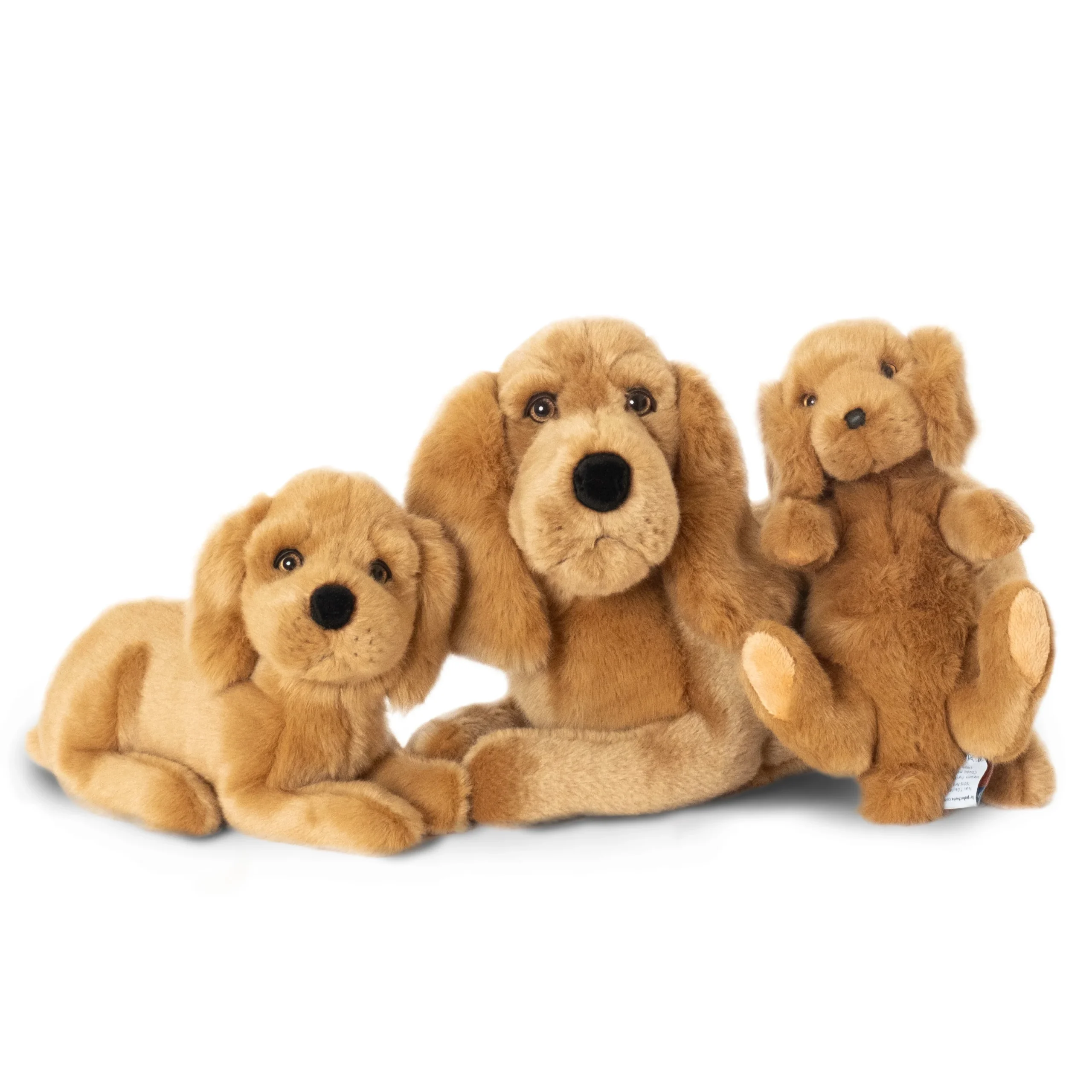 Ma peluche Cocker Théo – Image 2