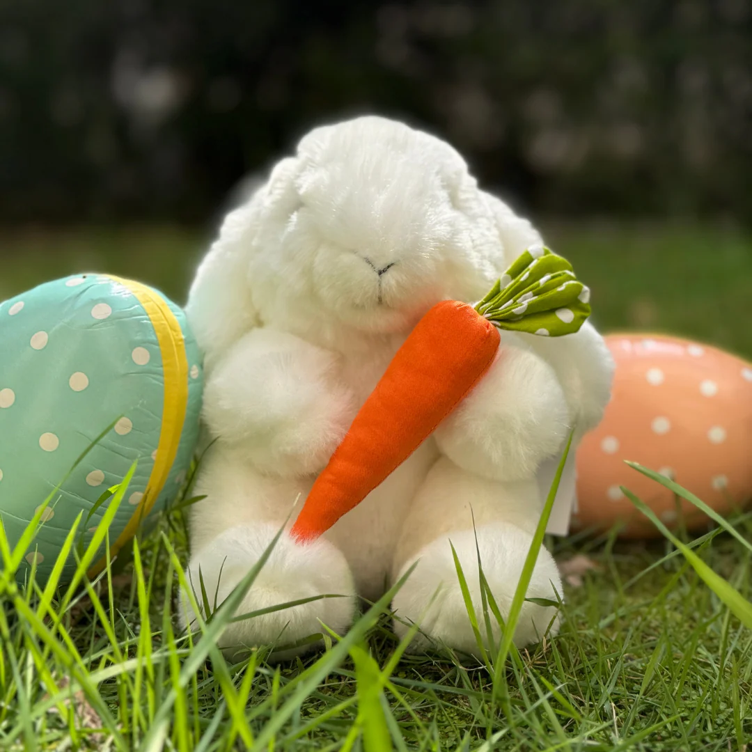 Mon Lapin Ernest "Croq'Carotte" – Image 4