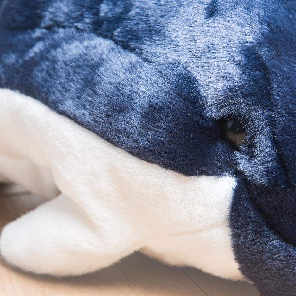 Ma peluche Dauphin Auguste – Image 2
