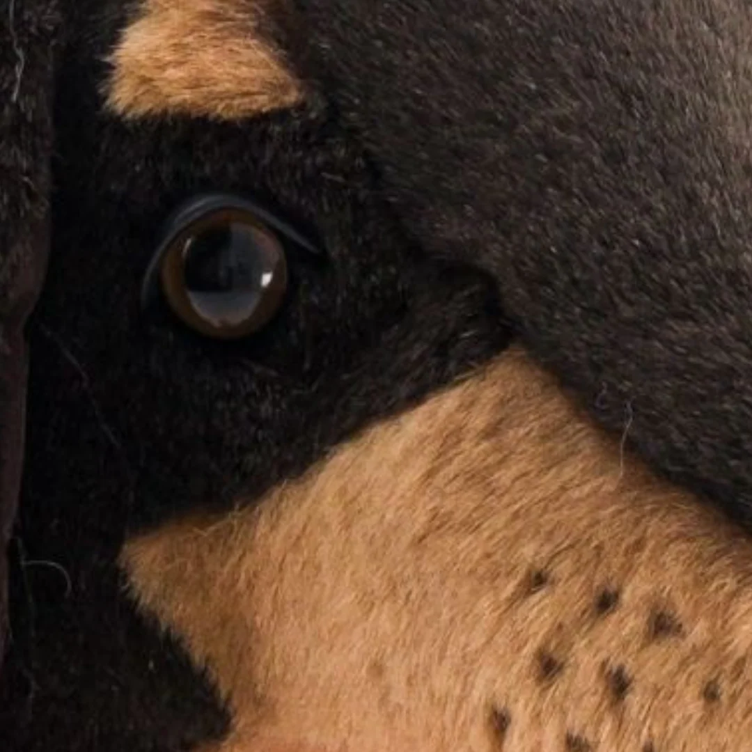 Ma peluche Teckel Eugène – Image 8