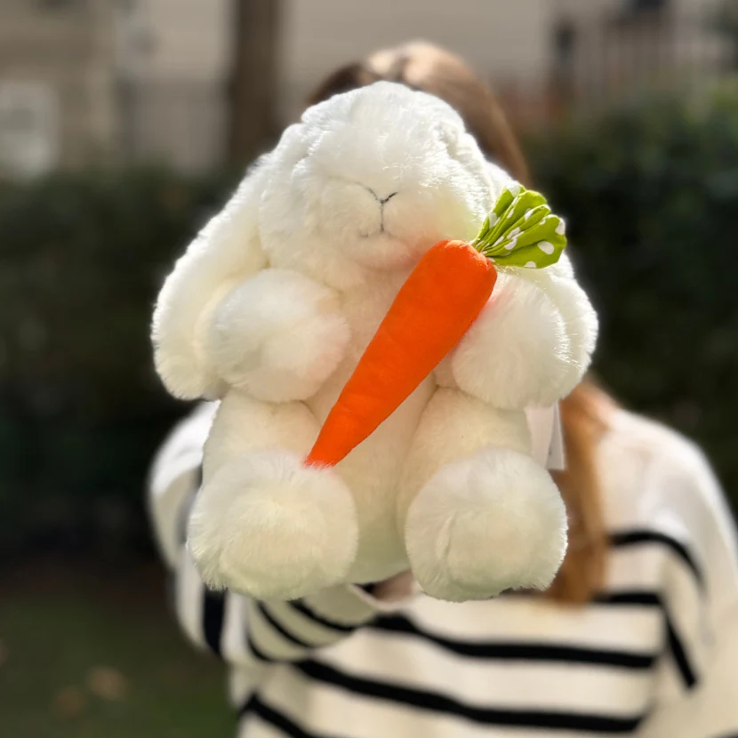 Mon Lapin Ernest "Croq'Carotte" – Image 3