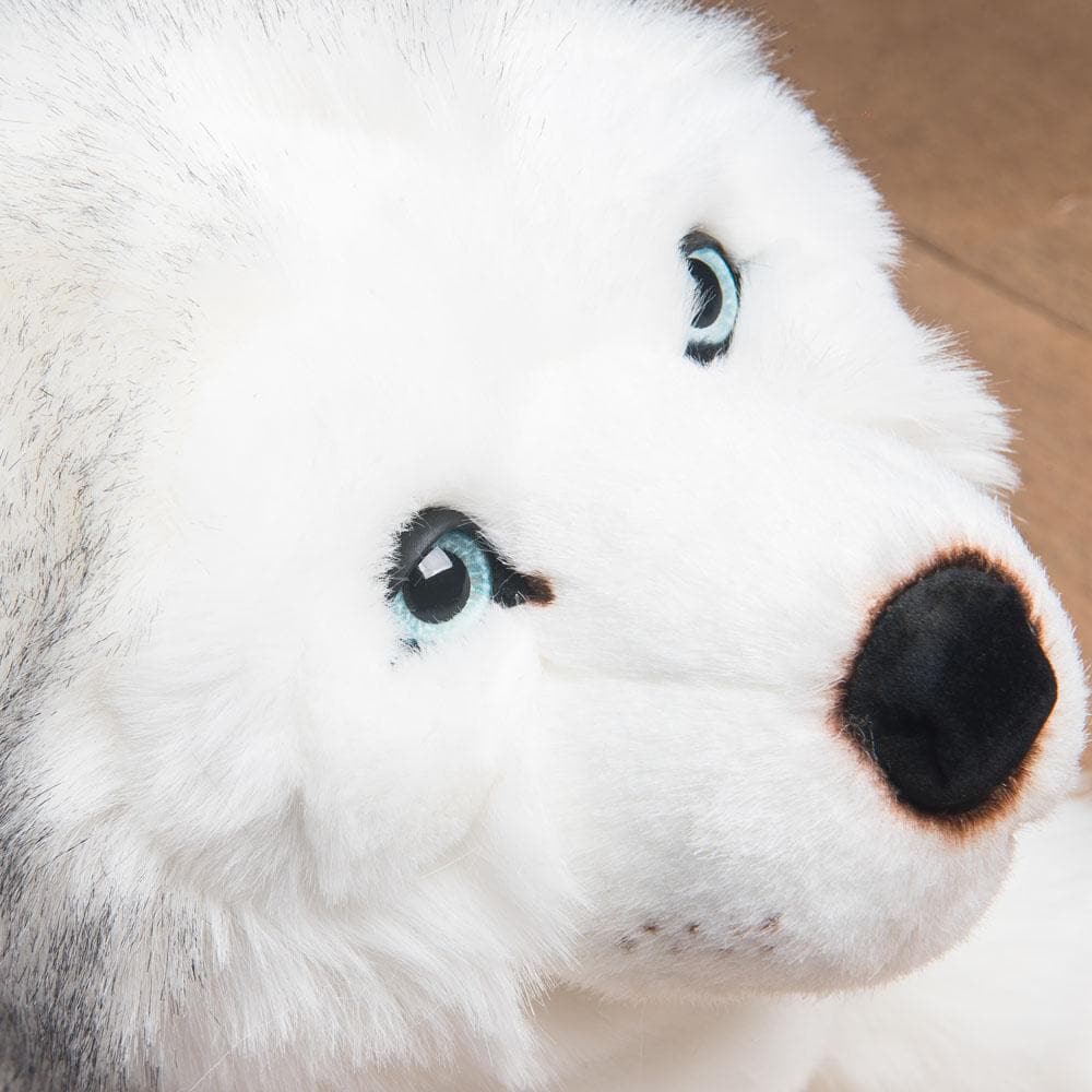 Ma peluche Husky Léonard – Image 8