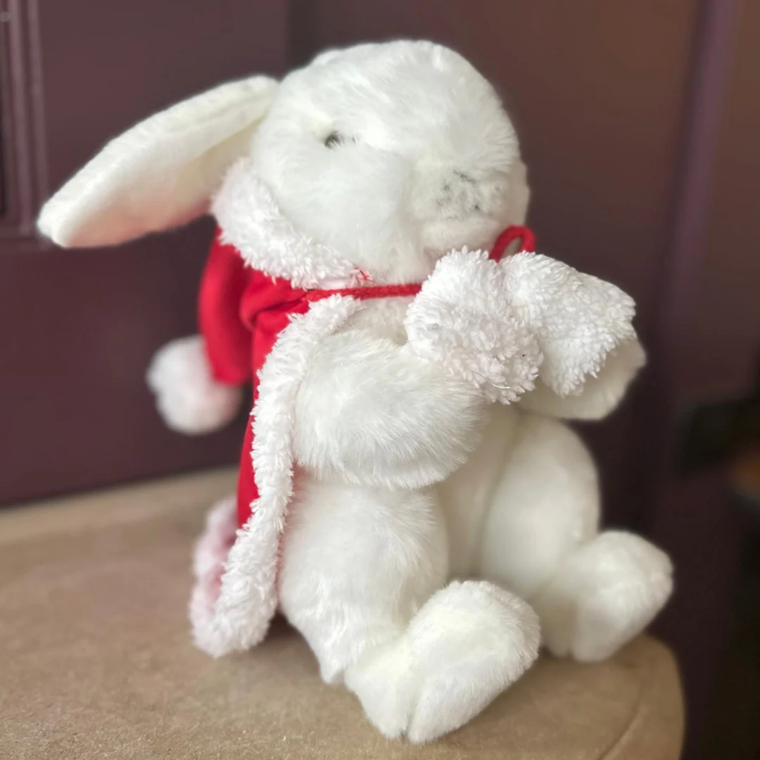 Mon Lapin Ernest de Noël – Image 5