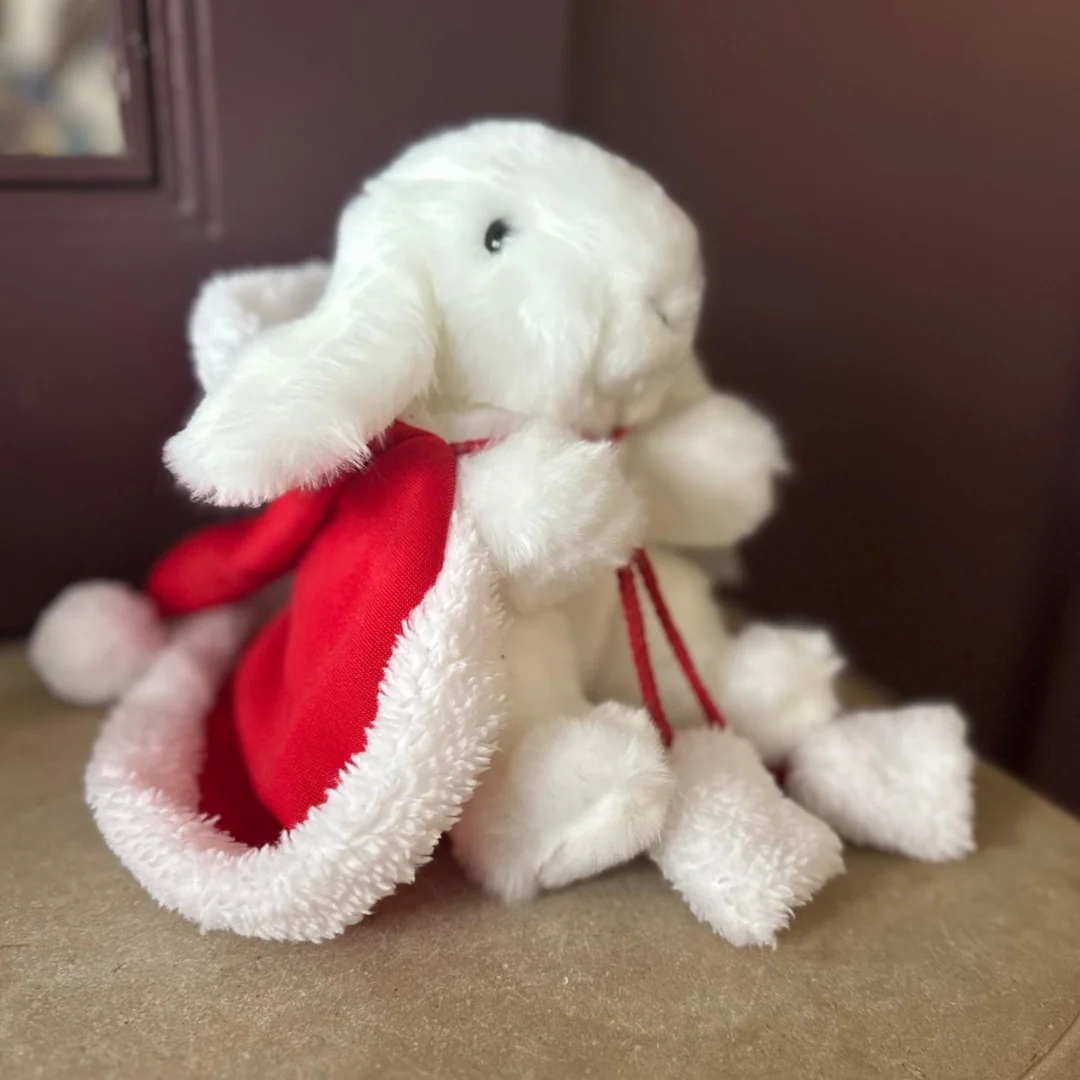 Mon Lapin Ernest de Noël – Image 6