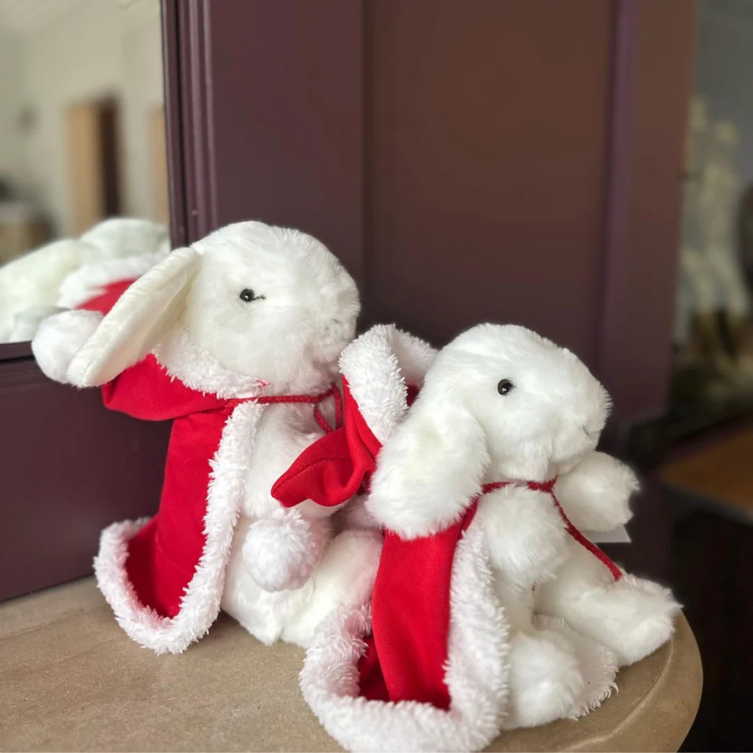 Mon Lapin Ernest de Noël – Image 7