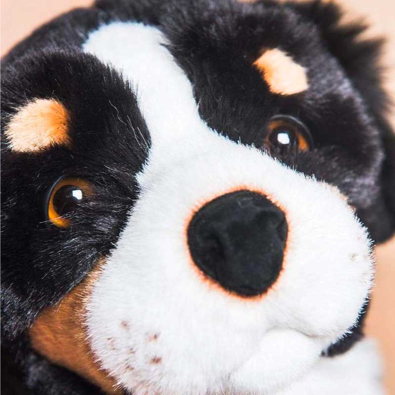 Ma peluche Chien Ferdinand – Image 2