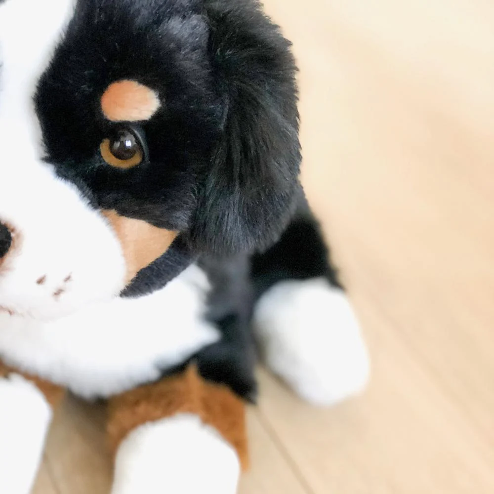 Ma peluche Chien Ferdinand – Image 5