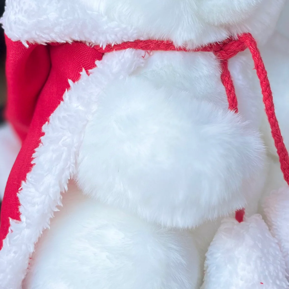 Mon Lapin Ernest de Noël – Image 4