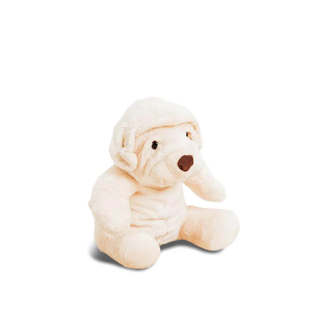 Ma peluche Chien Albert – Image 6