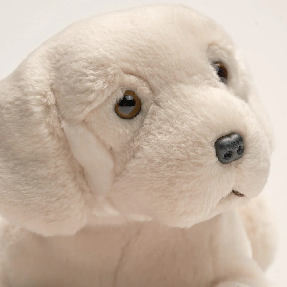 Ma peluche Labrador Marius – Image 6