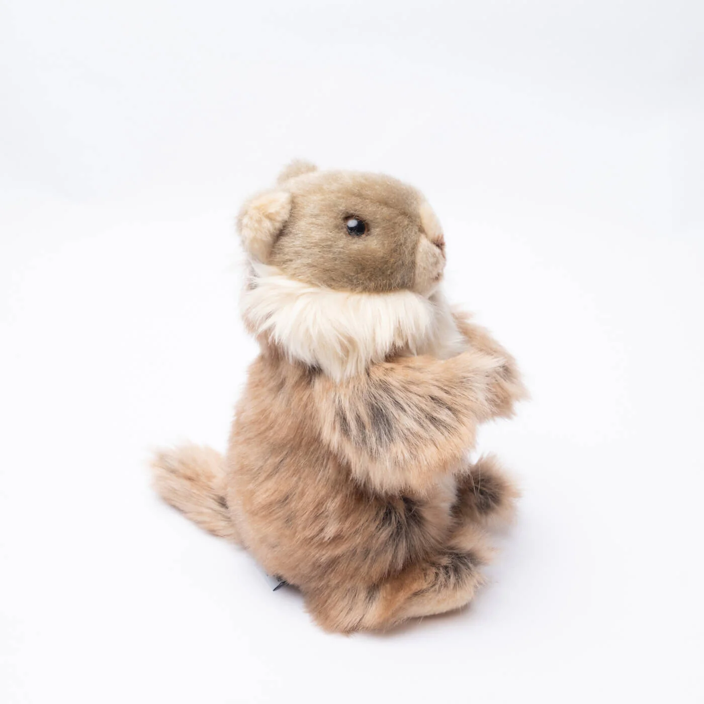 Ma peluche Marmotte Julie – Image 3