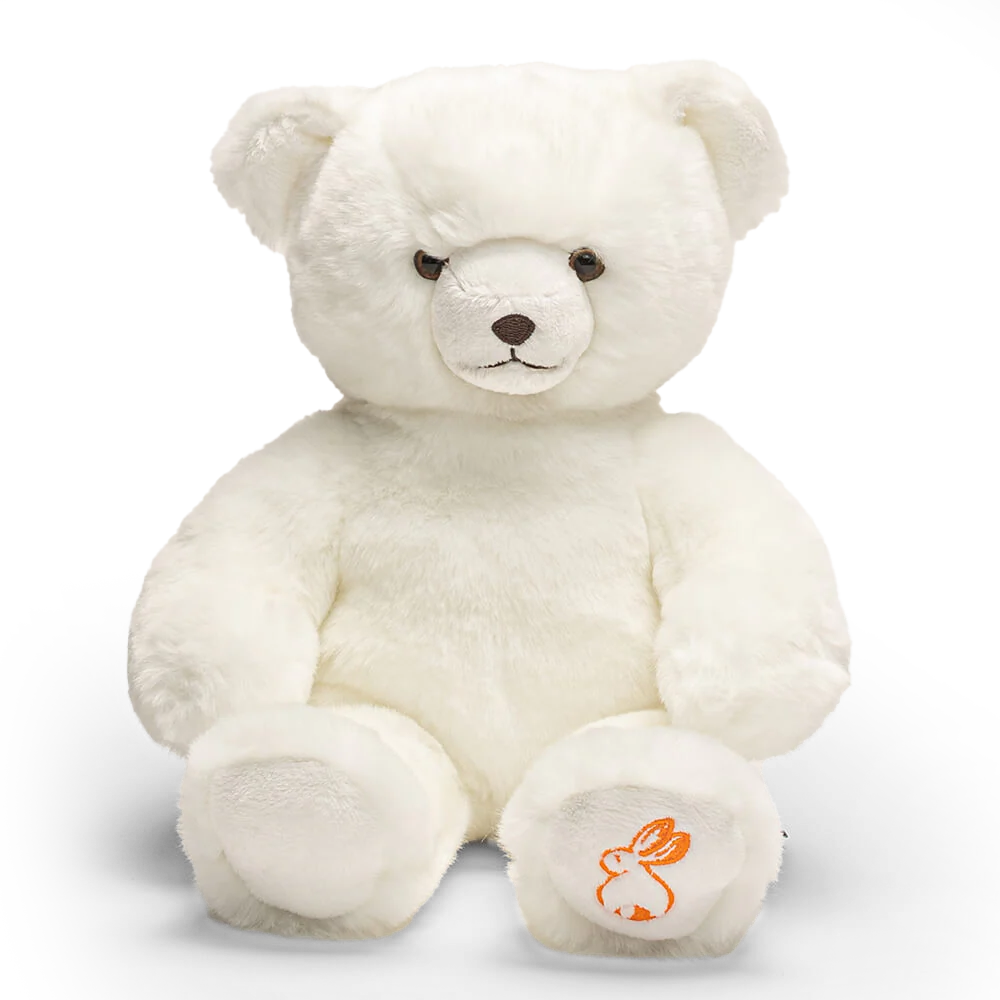 Ma peluche Ours Émile – Image 4