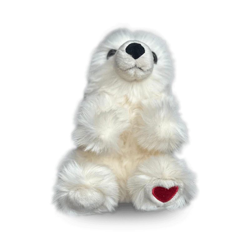 Mon Ours Jules d'amour