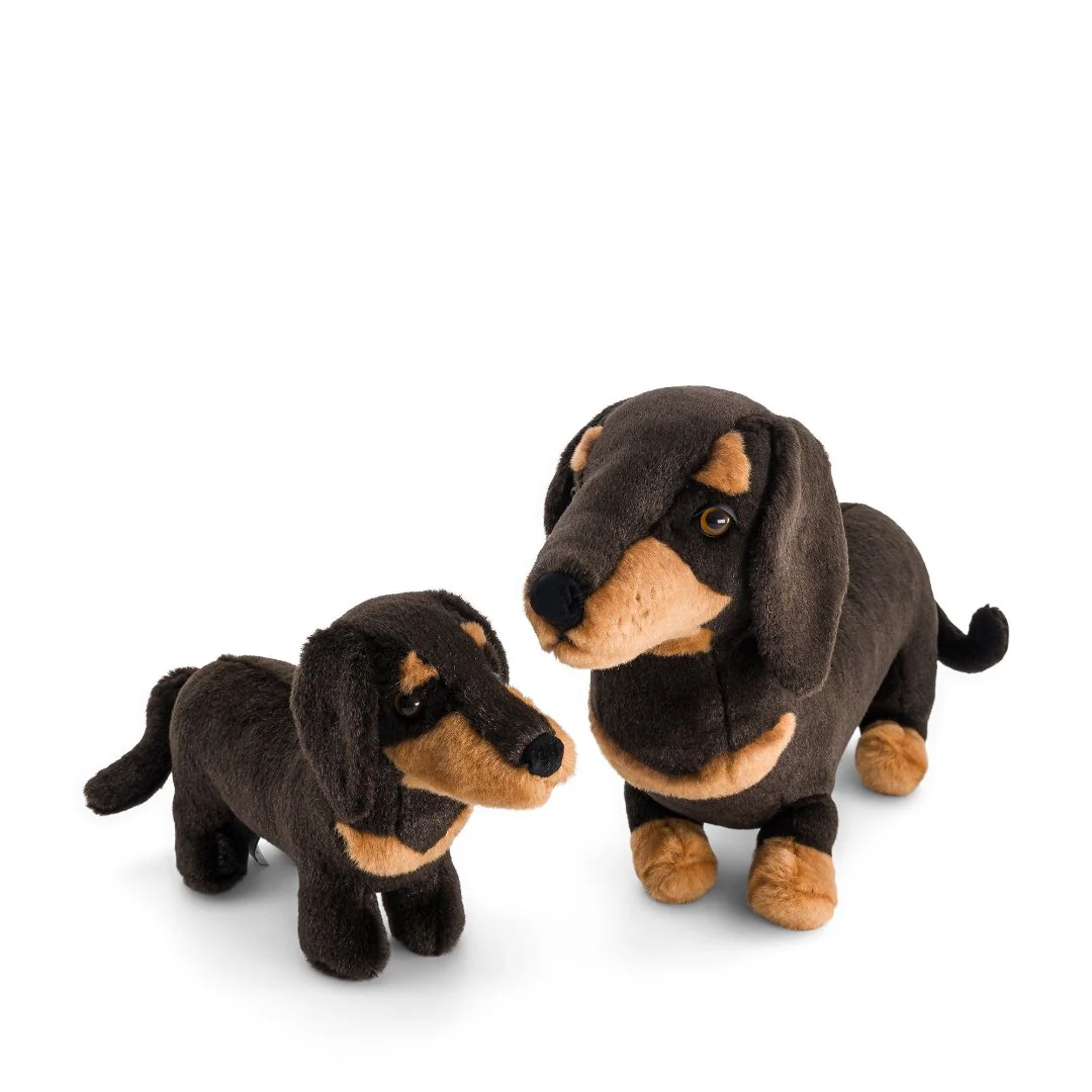 Ma peluche Teckel Eugène