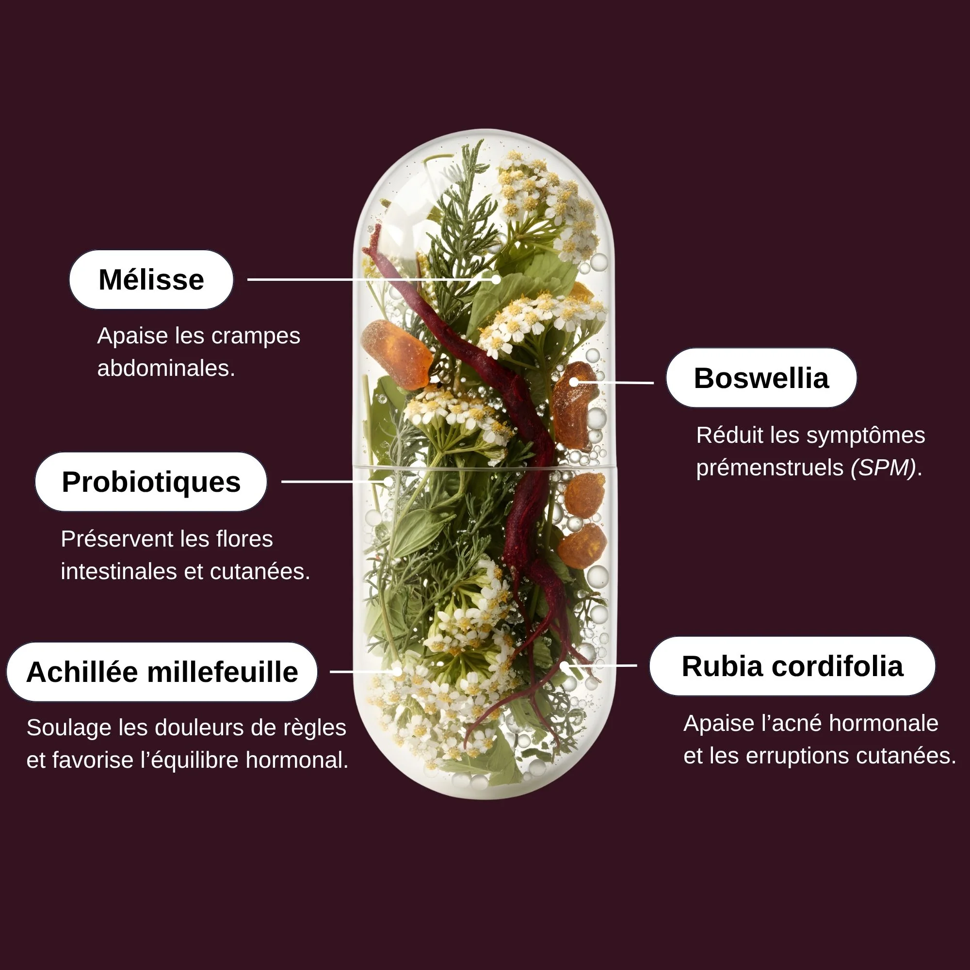 PROBIO MENSTRUATIONS – Image 3