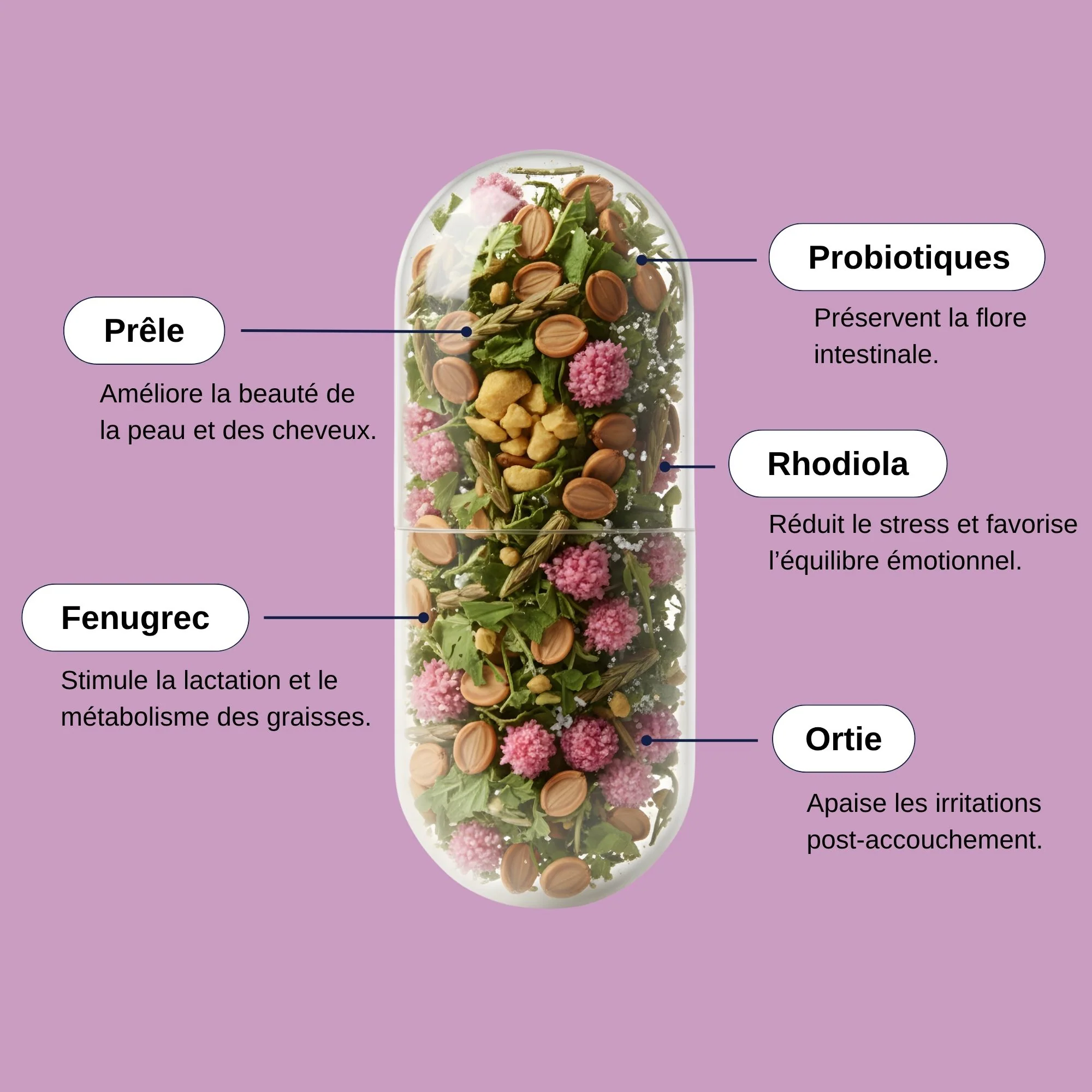 PROBIO POST-PARTUM – Image 3