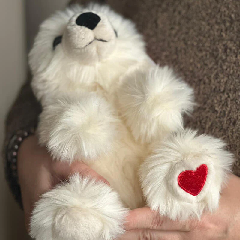 Mon Ours Jules d'amour – Image 4
