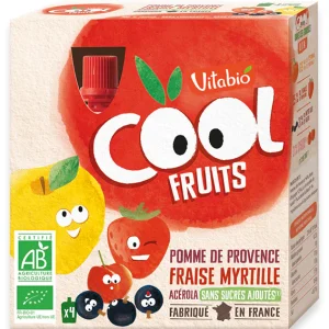 VITABIO COOL FRUITS POMME FRAISE MYRTILLE 4 X 90G