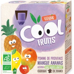 Vitabio Cool Fruits Pomme Mangue Ananas Acérola 4X90G