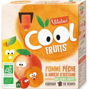 Vitabio Cool Fruits Pomme Pêche Abricot 4X90G