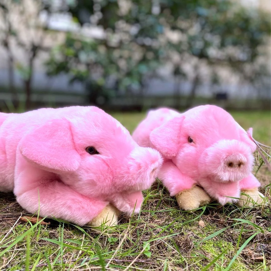 Ma peluche Cochon Georges – Image 6