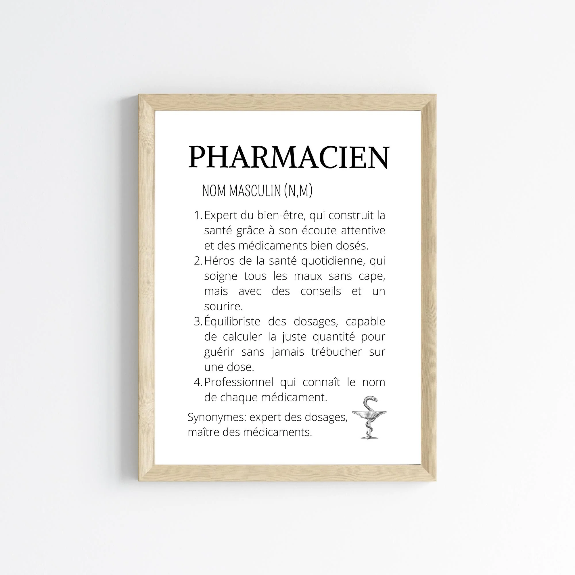 Affiche définition pharmacien(ne)