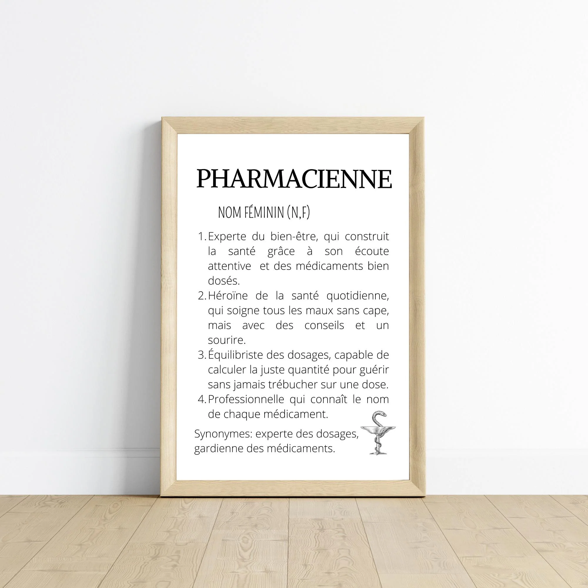 Affiche définition pharmacien(ne) – Image 3