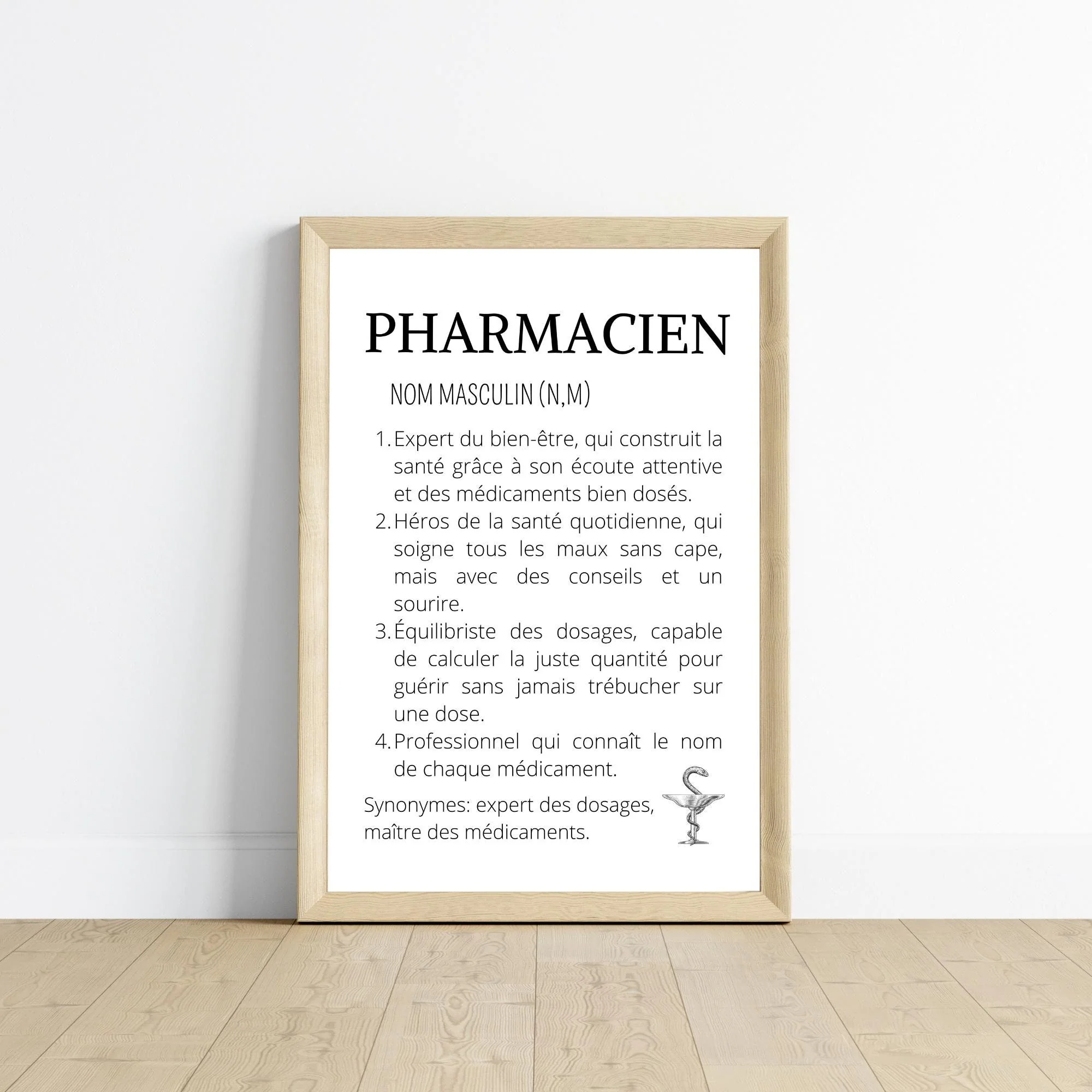 Affiche définition pharmacien(ne) – Image 2