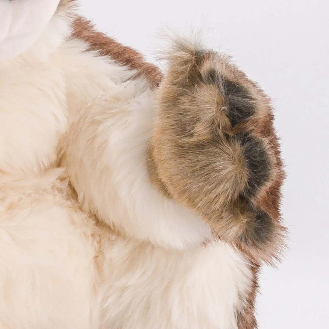 Ma peluche Koala Félicien – Image 6