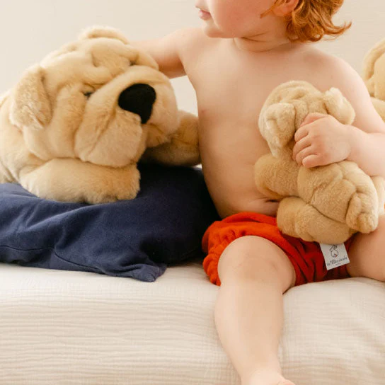 Ma peluche Chien Hector