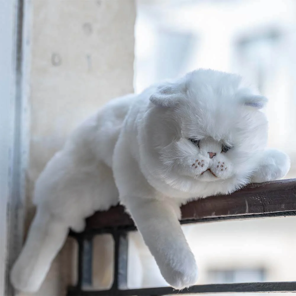 Ma peluche Chat Oscar – Image 5