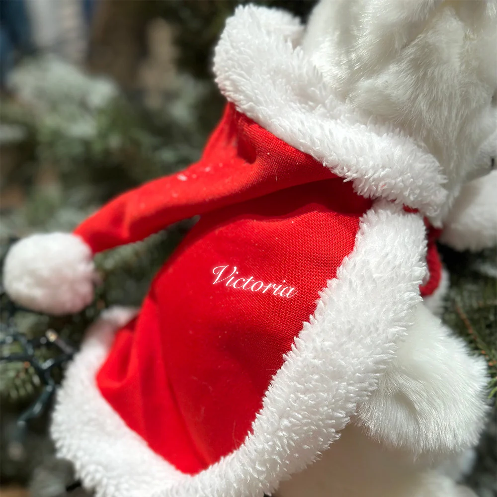 Mon Ours Emile de Noël – Image 2