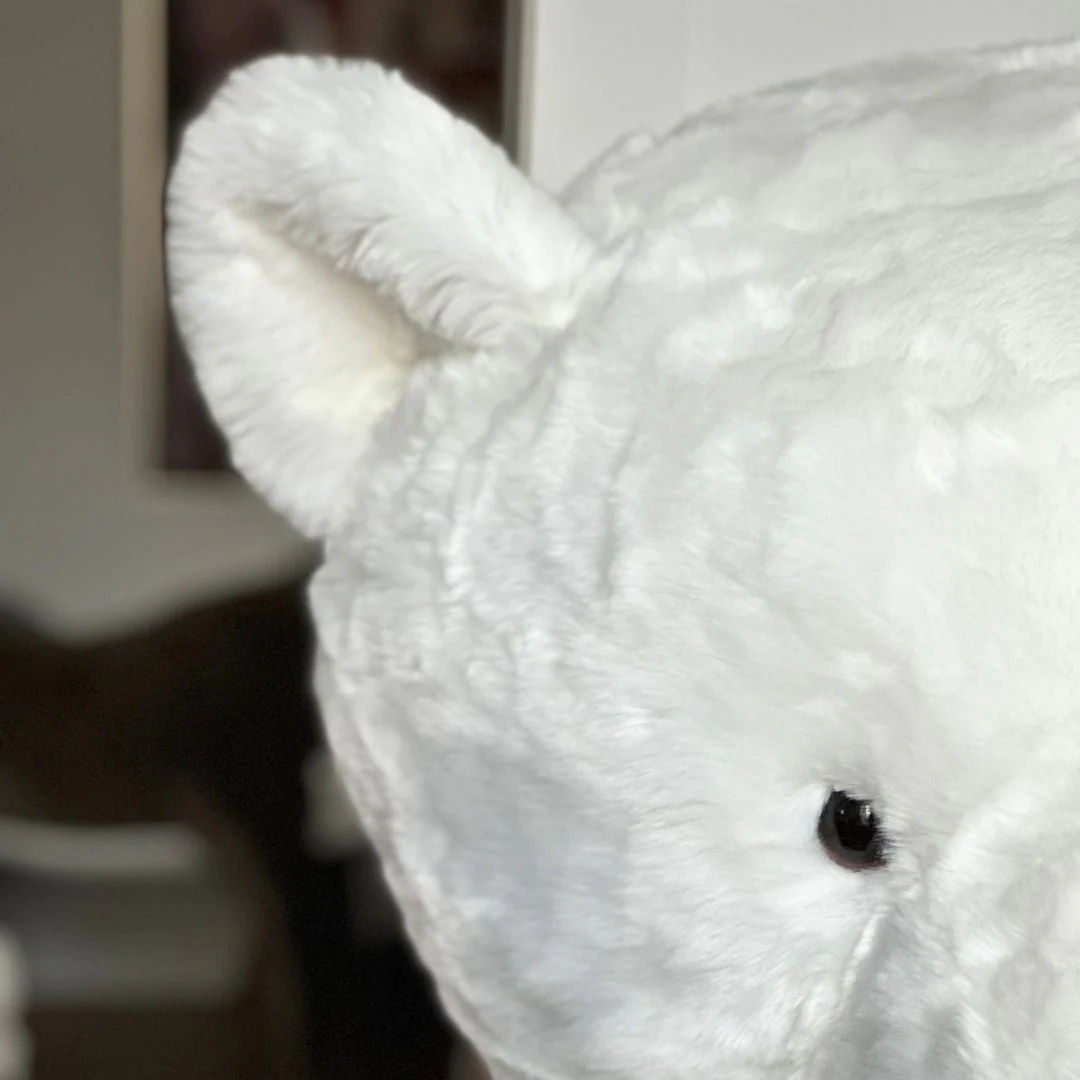 Mon ours en peluche géant – Image 7