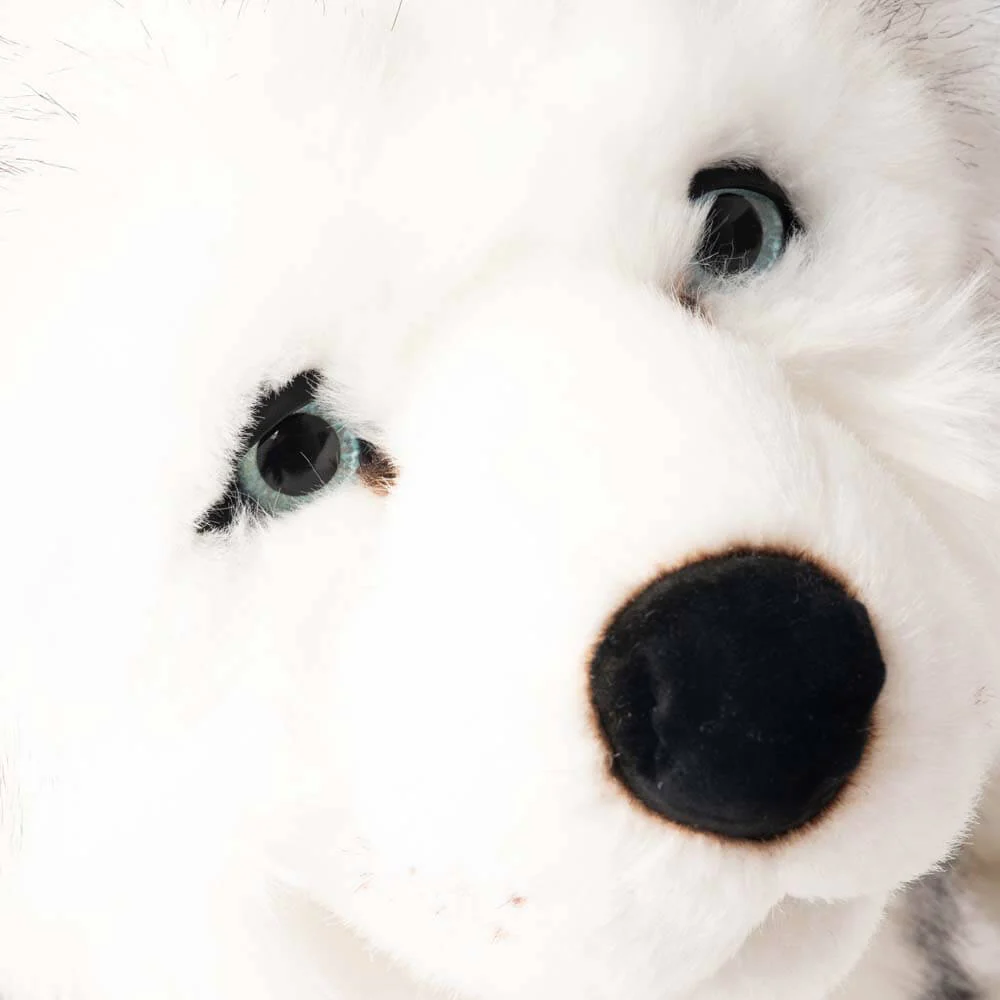 Ma peluche Husky Léonard – Image 4