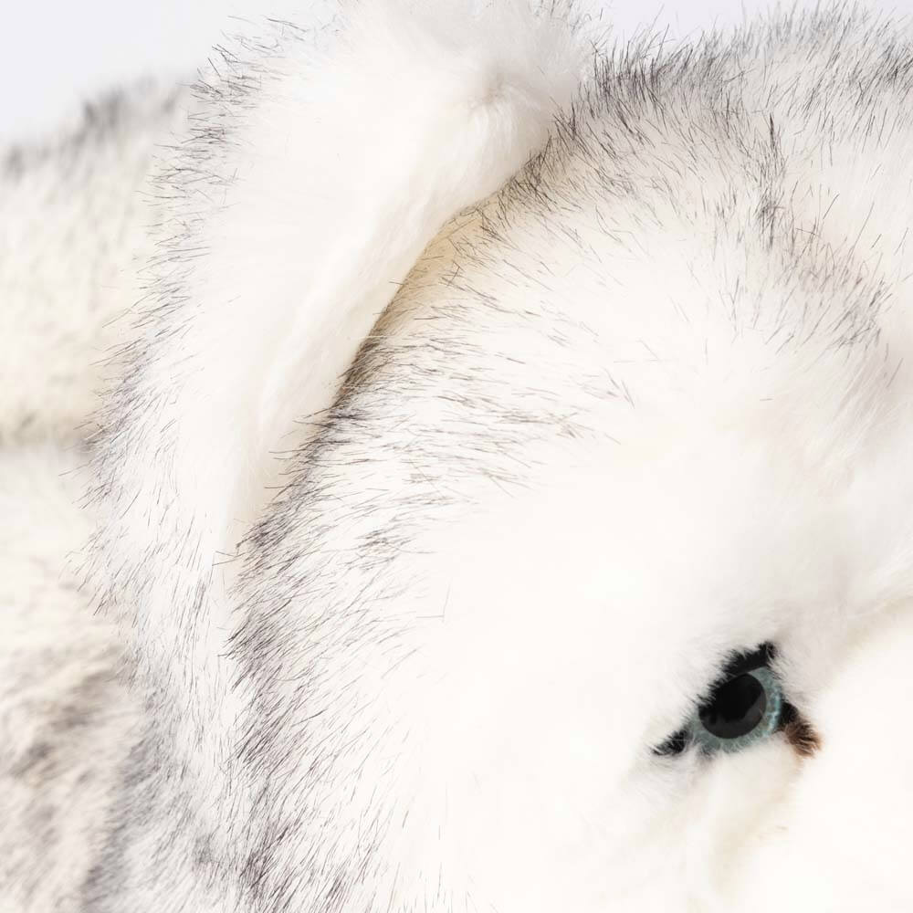 Ma peluche Husky Léonard – Image 9