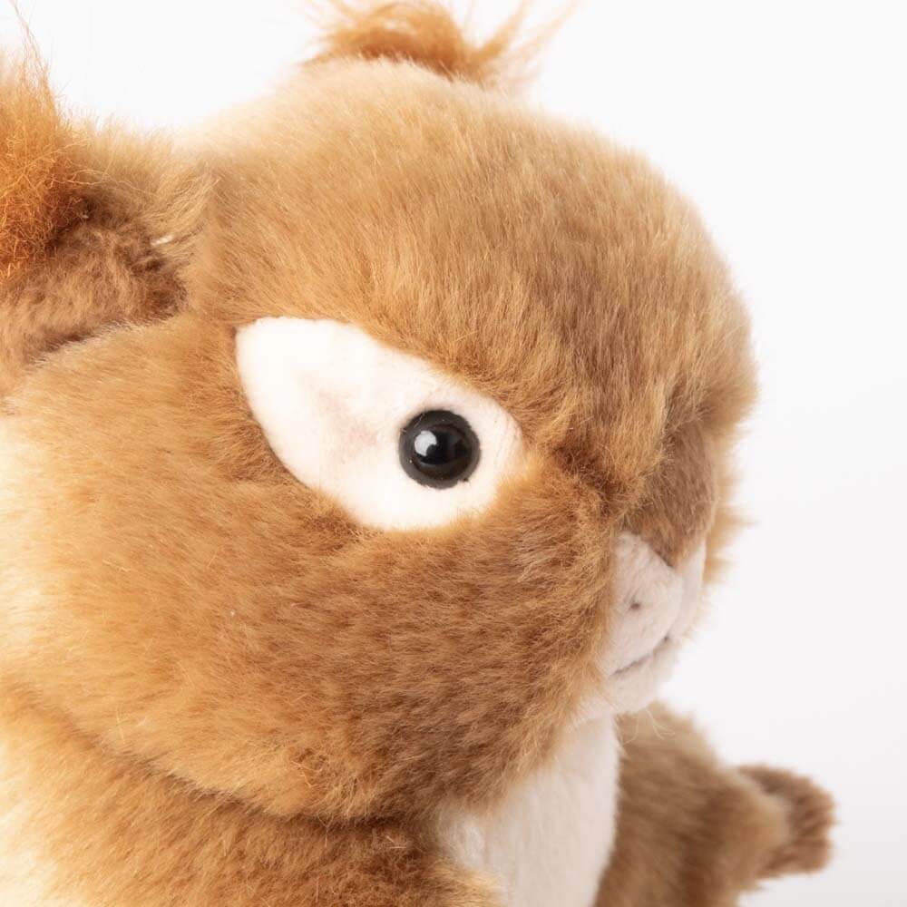 Ma peluche Écureuil Léo – Image 3
