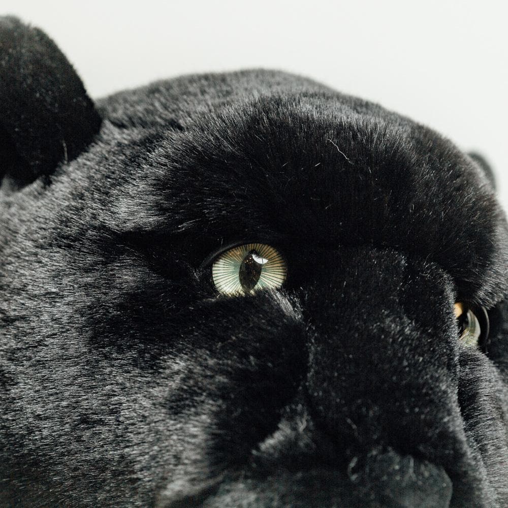 Ma peluche Panthère Zélie – Image 2